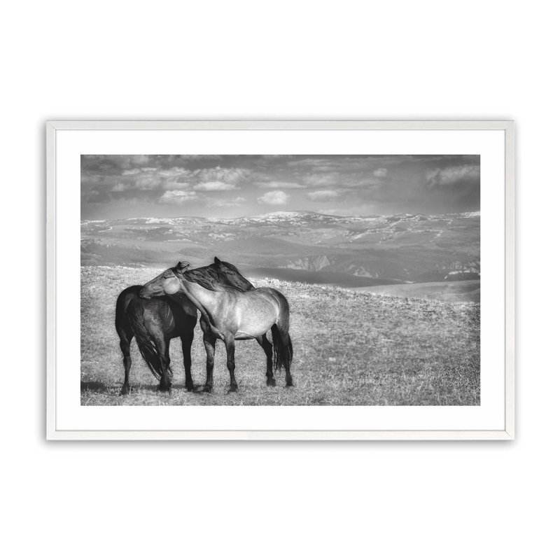 Equine Companionship Print in a Frame, 13" H x 17" W, White