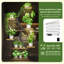 Plant Stand - Set of 8