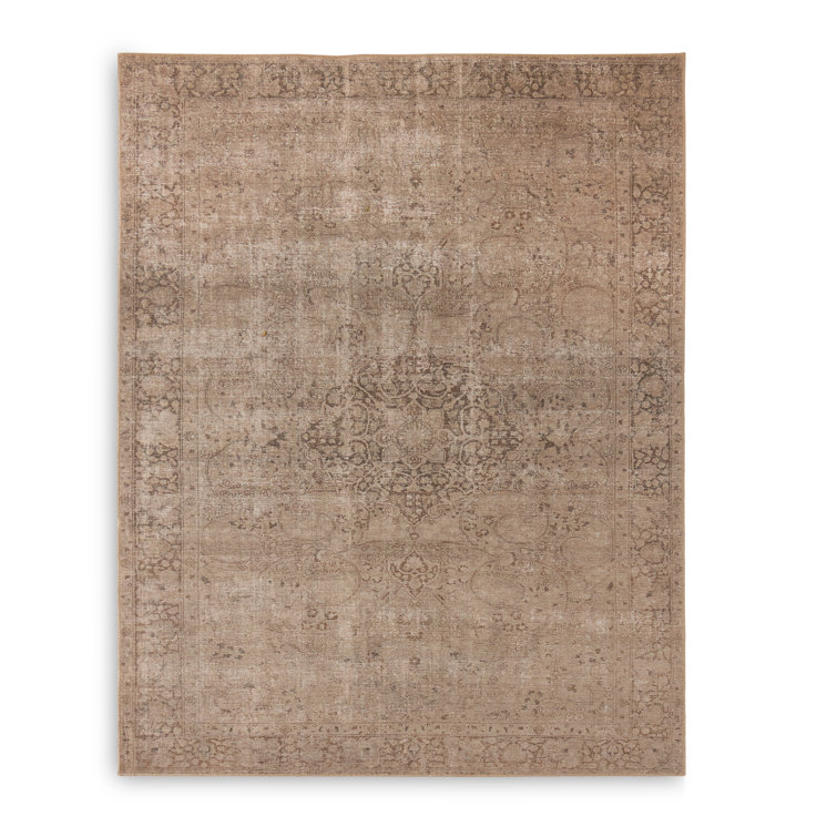 Morelli Oriental Area Rug in Alani Natural