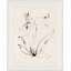 Essence IV Print by Yuki Osada
