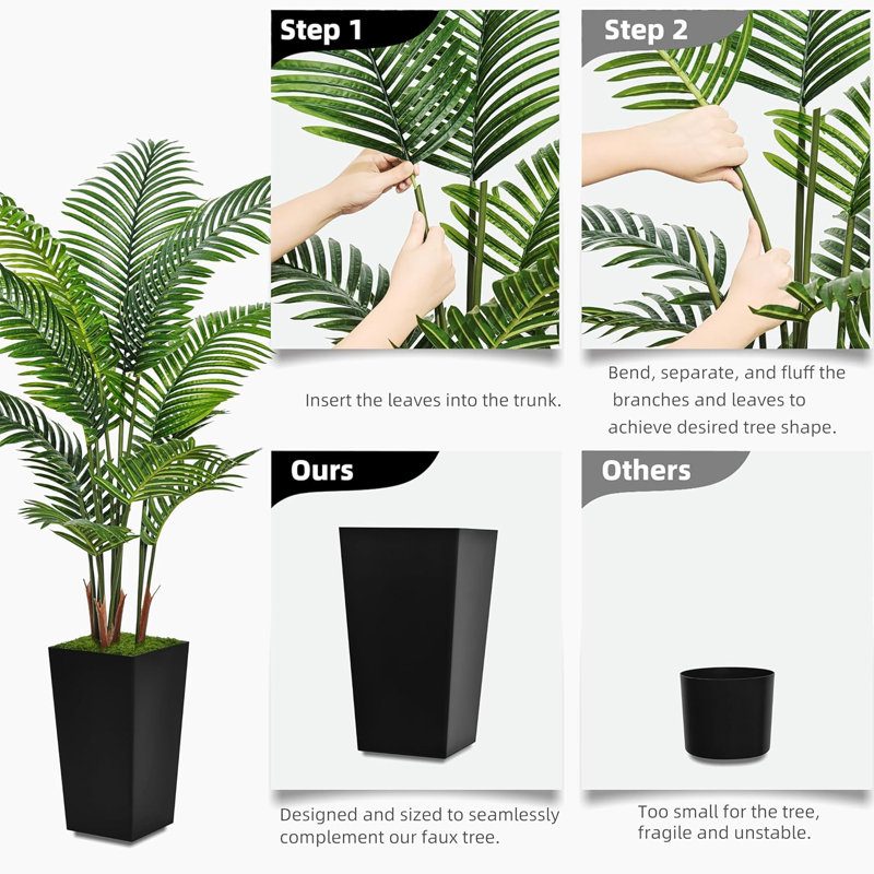 60 plantes, Noir