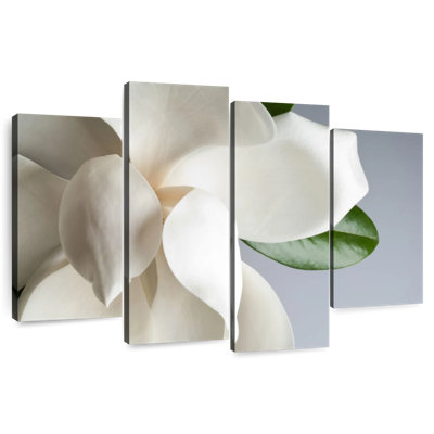 Harnek White Magnolia