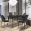 Chaise de salle à manger Gilfillan-1013232049-1046756229