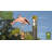34'' H Metal Nautical & Beach Weathervane