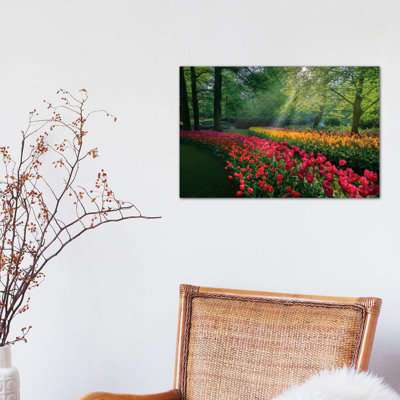 «Special Garden» - Imprimé
