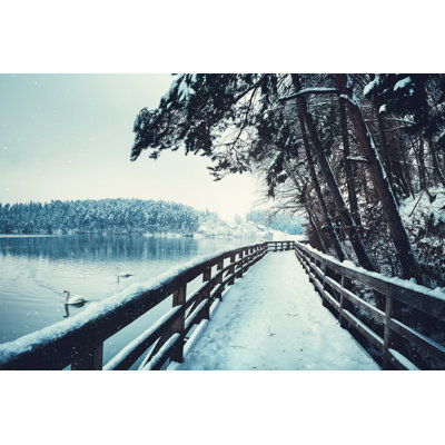 Winter Path By the Lake by Borchee