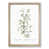 Oak Framed selected