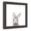 Art encadré en lapins forestières-48163434-48169567