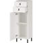 Agora Mounting / Installation Required Bathroom Cabinet