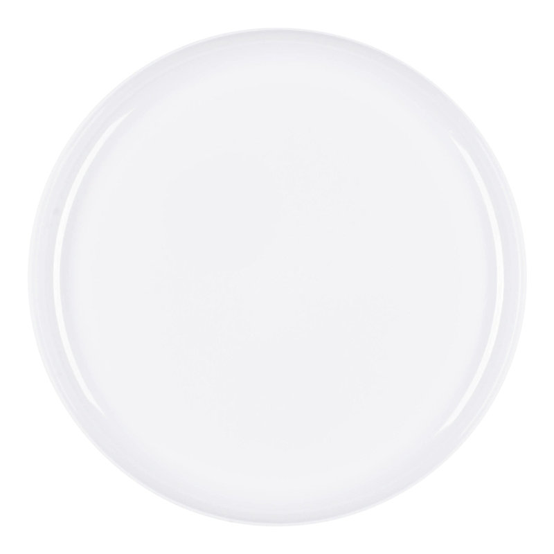 Assiettes plates rondes jetables en plastique blanc (25 cm) - 120 assiettes