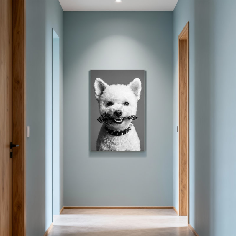 Animaux, chien blanc avec collier orné et collier à pointes, H 24 po x l 16 po