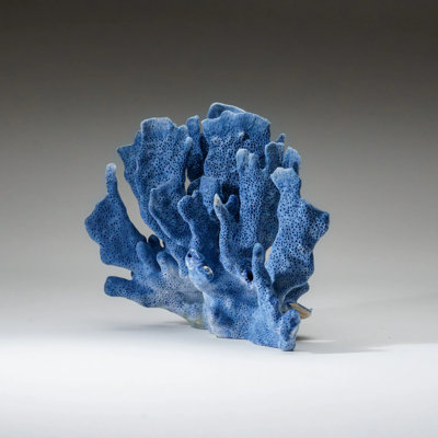 Genuine Blue Ridge Coral (7", 1.5 Lbs)