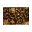 Floral Area Rug