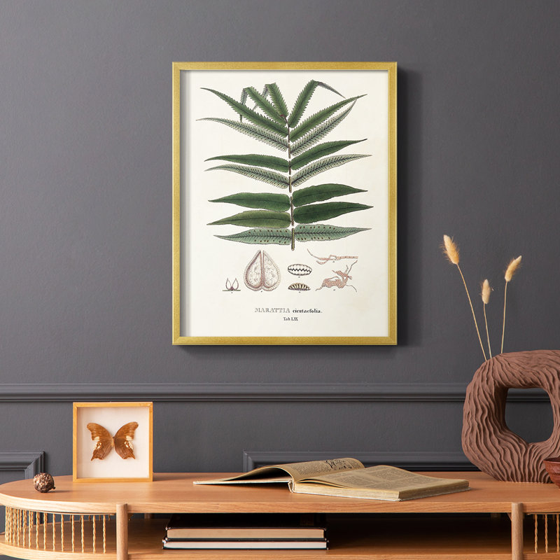 Botanical Society, impression encadrée de fougères - bois massif, H 10 po x l 8 po, Or