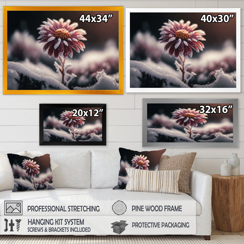 «A Blooming Pink Daisy Flower in Winter I», impression sur toile, H 12 po x l 20 po x P 1 po