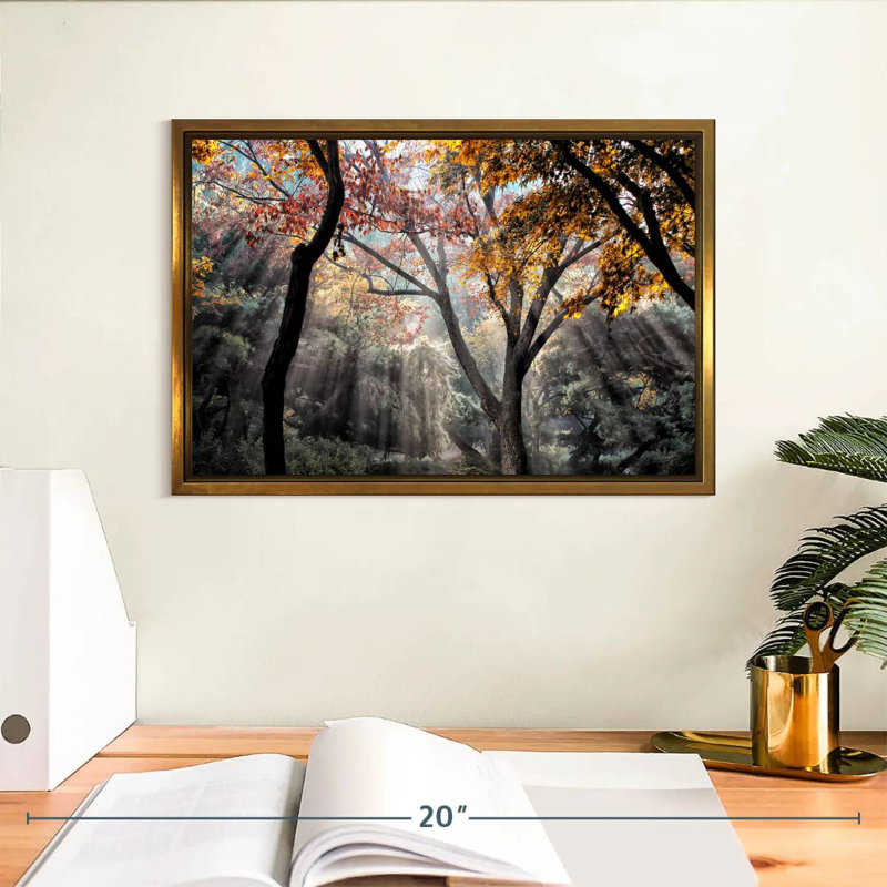 Rayons de soleil de la forêt, Cadre flottant doré, 13 po x 9 po