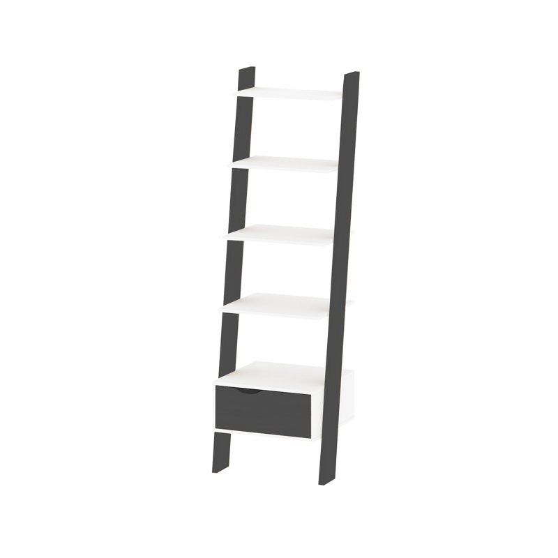 Aneshka 180cm H x 55cm W Ladder Bookcase, White/Black