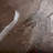 Harmonic III a Hand Embelished Textured Canvas-92377613