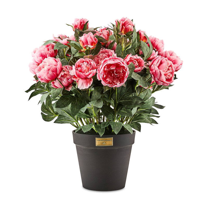 Peony Urn Filler, Pink