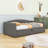 Twin Velvet Upholstered Daybed with Adjustable Pop-Up Trundle-1028976712