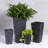 Sewickly Pot Planter-683715967-683715938