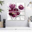 Harnek My Magenta II-109095161