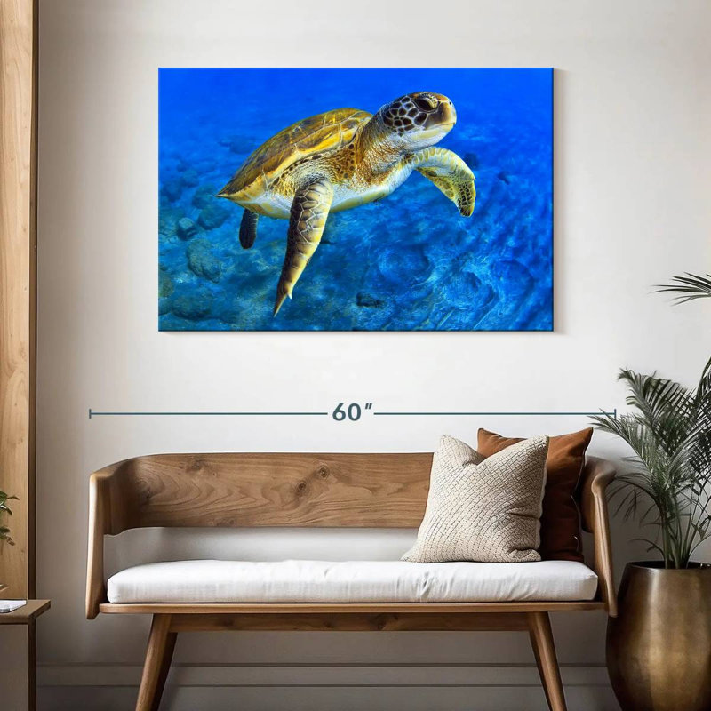 Brampt Sea Turtle Explorer, 30" H x 45" W