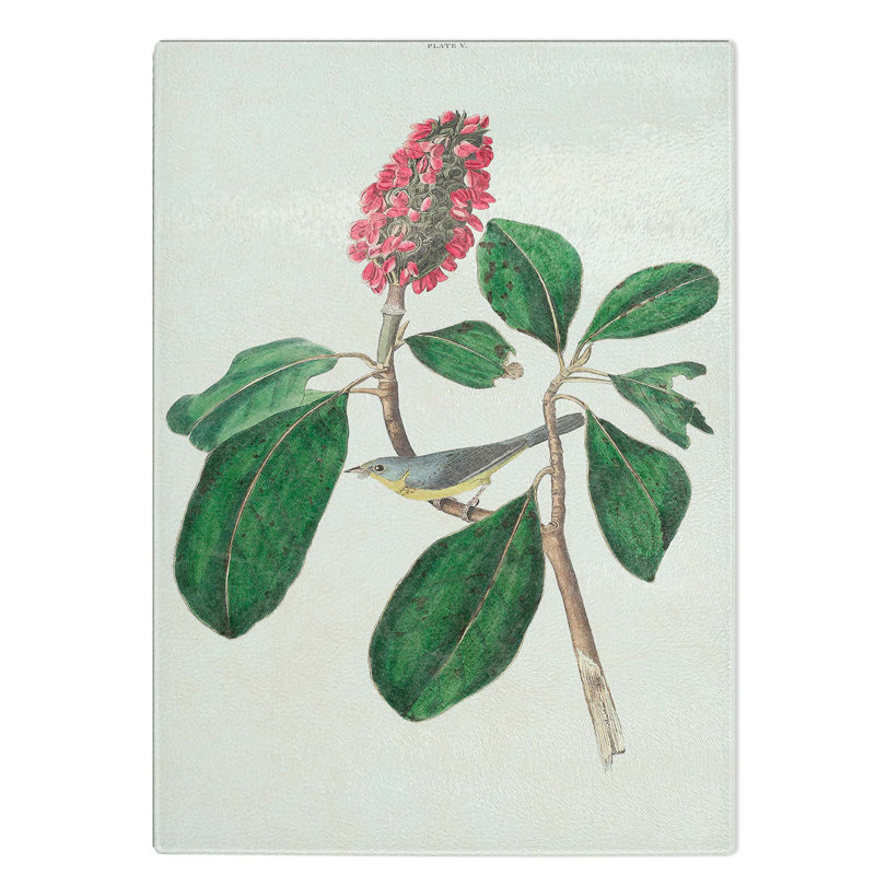 Tempered Glass Bonaparte's Flycatcher Bird Chopping Board, 28.5 cm W x 39 cm L