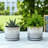 Stoneware Ceramic Saucer Planters, Set of 2-20103572-127892393