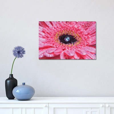 Pink Daisy with Water Droplets 1 Piece Wrapped Canvas Wall Art