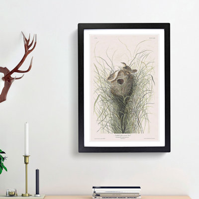 Two Wrens by John James Audubon - Framed Print