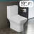Carre One-Piece Square Toilet Dual-Flush 1.1/1.6 gpf with 10" Rough-In-92331398