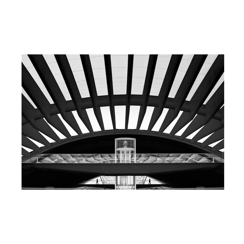 Art sur toile duo de paulo Abrantes, H 30 po x l 47 po