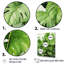 " Meticulously Tropical Botanical Plants "-854832801-854832800