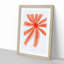Starfish by Albert I - Framed Print-55615804-55615806