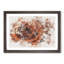 Orange Rose - Picture Frame Graphic Art Print-56915217-56915212