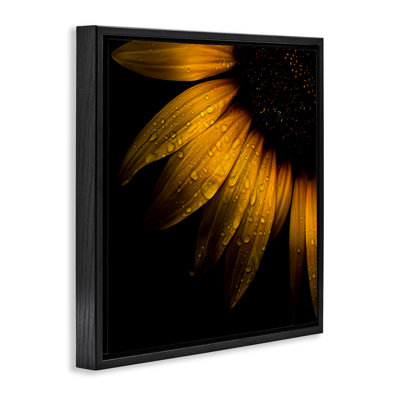 Détail de tournesol avec cadre flottant de gouttelettes, design par Brian Carson