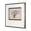 «Westcoast Tree Dessin I», reproduction d'art encadrée à la main mate sous verre-1152476999-1152477048