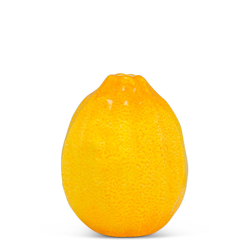Ronni Ceramic Table Vase