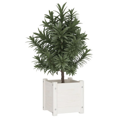 Alasiah Wood Planter Box