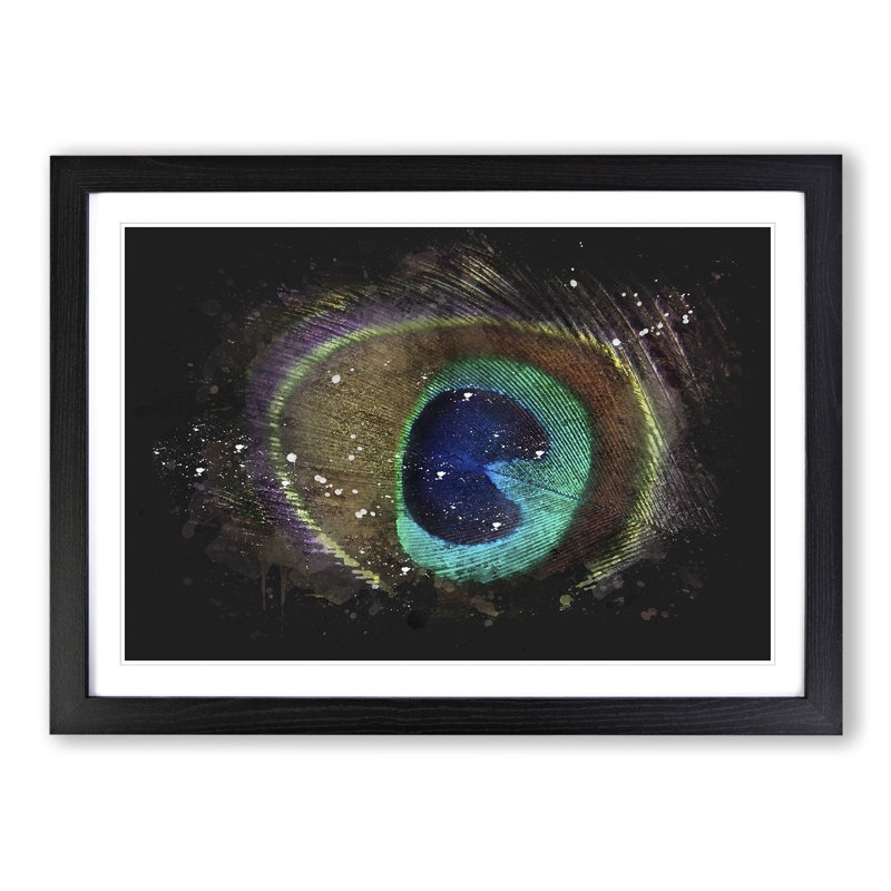 Peacock Feather - Picture Frame Graphic Art, 27cm H x 36cm W x 2cm D, Black Framed