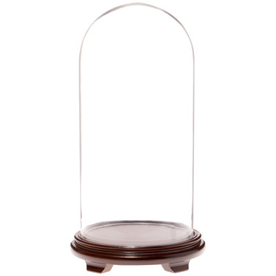 Cloche en verre 9,75 "x 20" Brighton