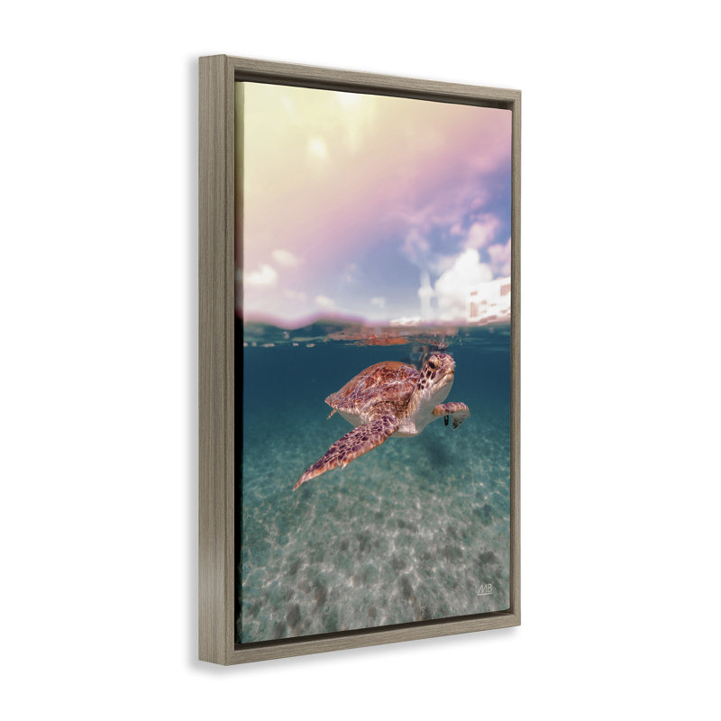Toile flottante «Above & Dessous Sea Turtle» par Max Blakesberg Studios, Cadre flottant orme Montalcino, H 25 po x l 17 po