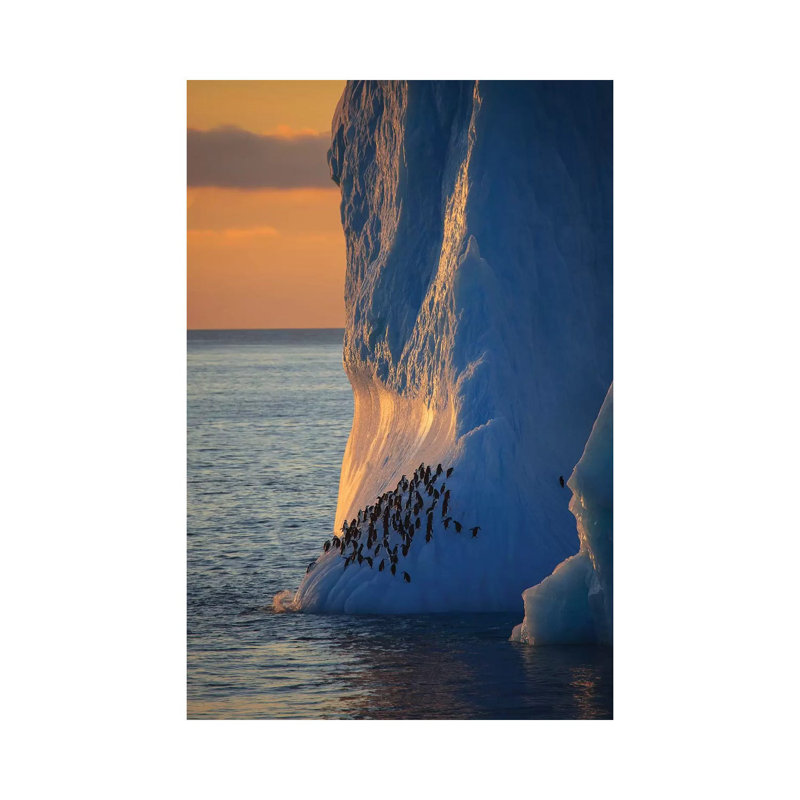 Chinstrap Penguins On Iceberg Tower Antarctica by Mogens Trolle - Wrapped Canvas Gallery-Wrapped Canvas Giclée