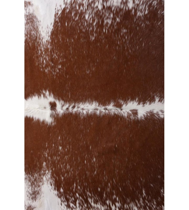 One-of-a-Kind 85 Hand Knotted Area Rug