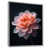 Silver Floater Framed