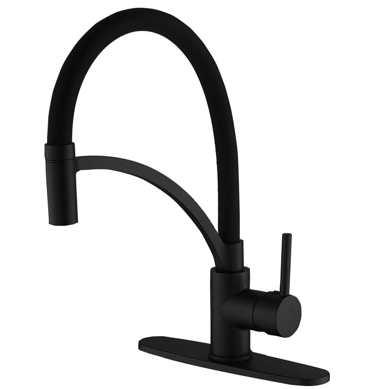 Robinet de cuisine rétractable à poignée simple avec accessoires, Noir mat