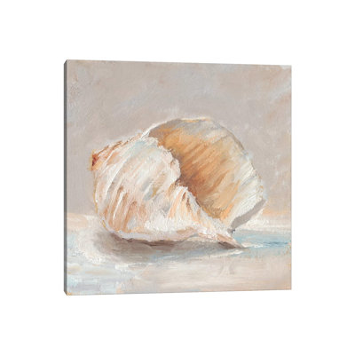 Impressionist Shell Study IV 1 Piece Wrapped Canvas Wall Art