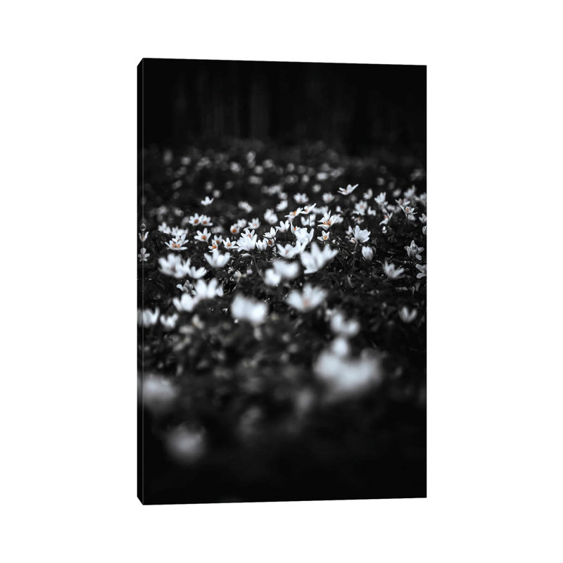 Windflowers 1 Piece Wrapped Canvas Wall Art, 30.48 cm H x 45.72 cm W