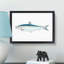 Pilchard Fish by Edward Donovan - Picture Frame Painting Print-55583447-55583449